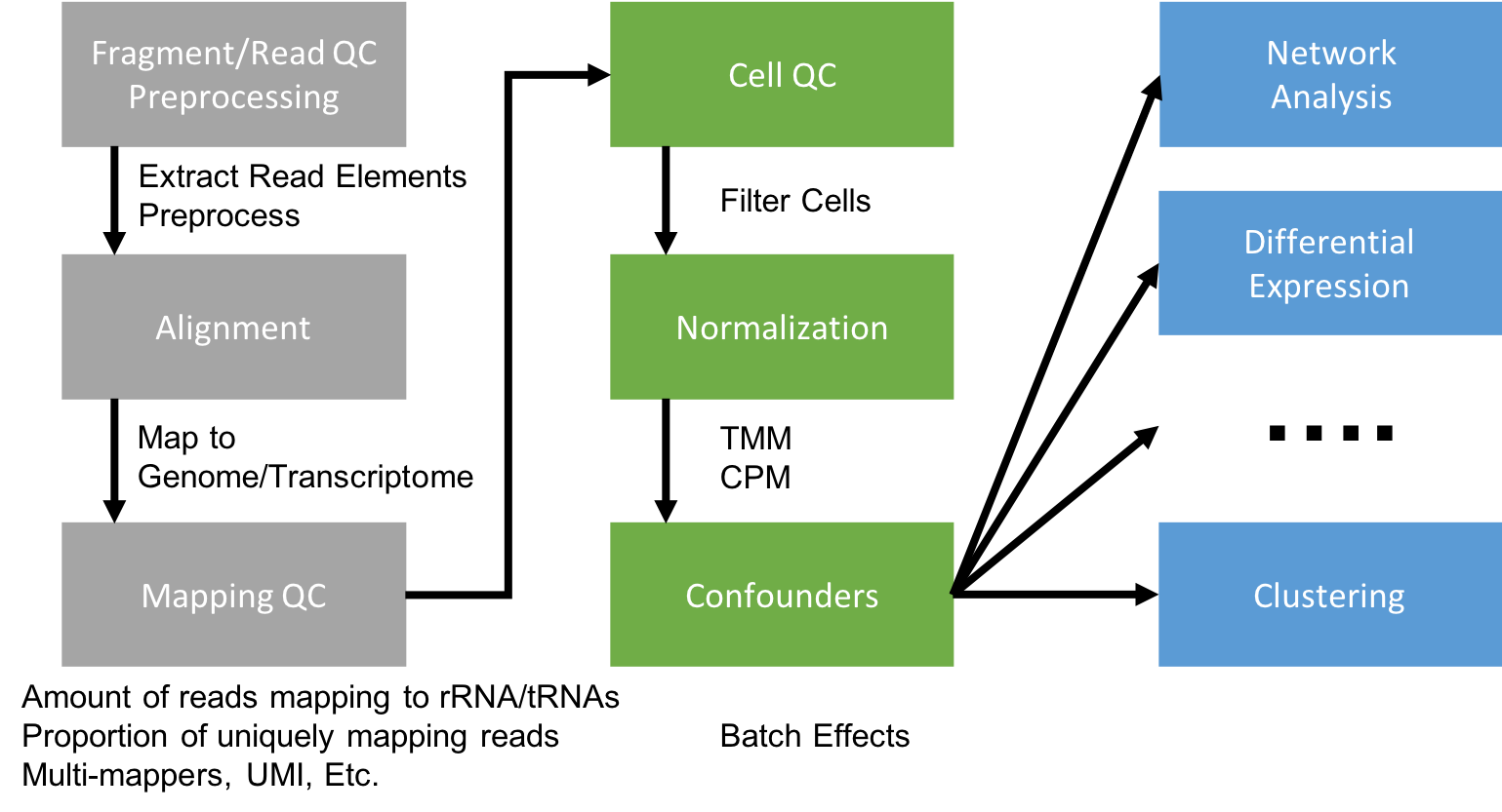 Flowchart of the scRNA-Seq analysis