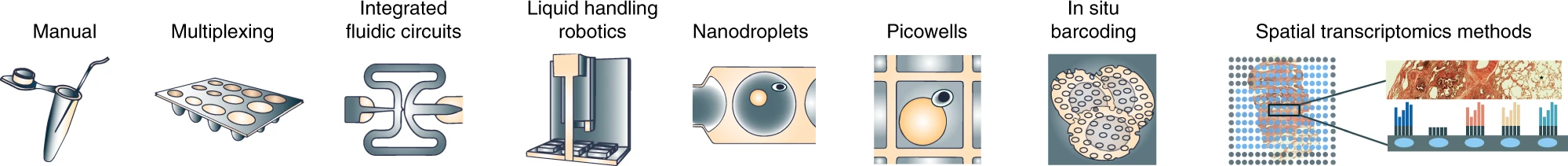 Current Types of scRNA-Seq Protocols